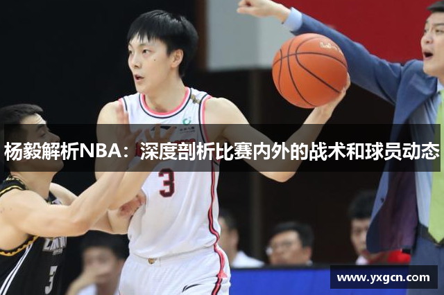 杨毅解析NBA：深度剖析比赛内外的战术和球员动态